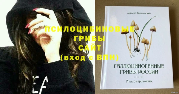 Альфа ПВП Богданович