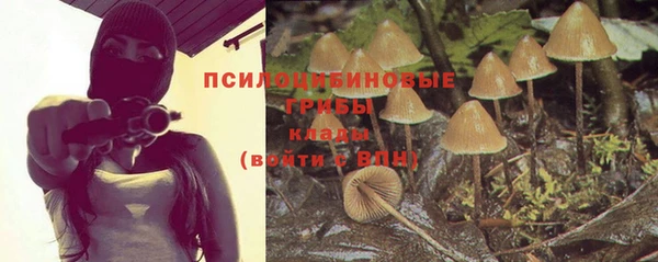 Альфа ПВП Богданович