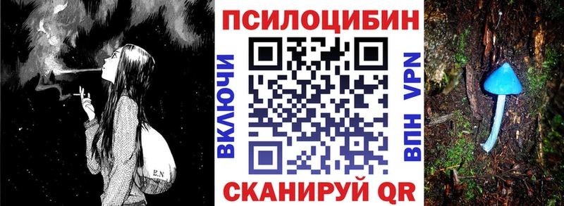 Галлюциногенные грибы Psilocybe  как найти наркотики  Мглин 