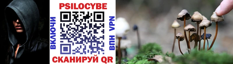 Галлюциногенные грибы Cubensis Мглин